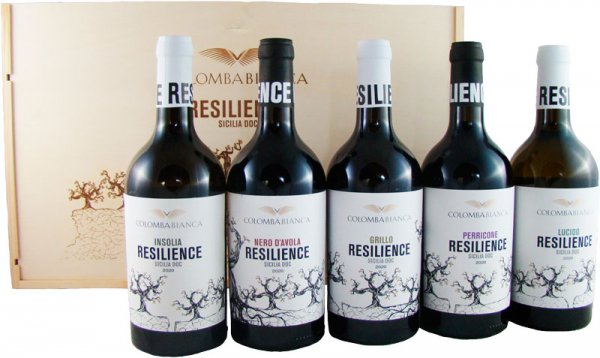 5er Original-Holzkiste "Resilience" mit 2 Rotweinen und 3 Weißweinen 5 x 0,75 l