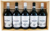 5er Original-Holzkiste "Resilience" mit 2 Rotweinen und 3 Weißweinen 5 x 0,75 l
